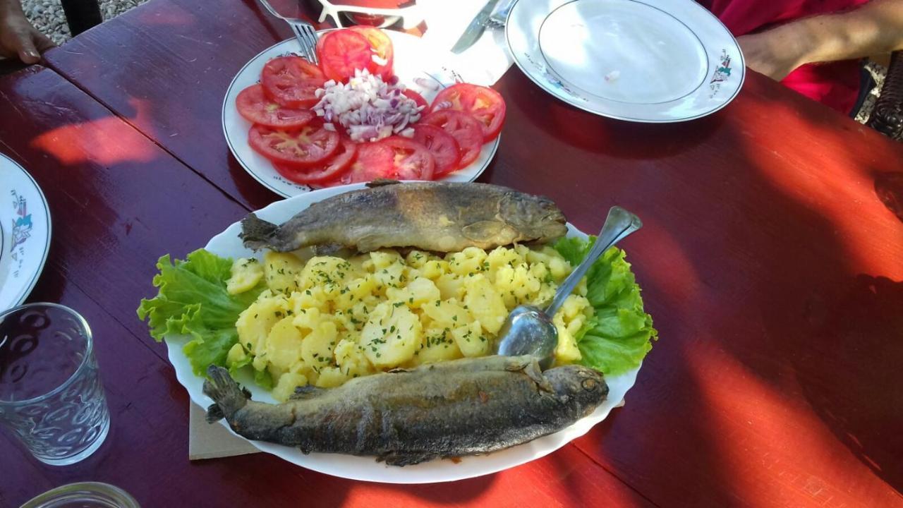 Kuca Za Odmor Dolovi Otel Golubic  Dış mekan fotoğraf