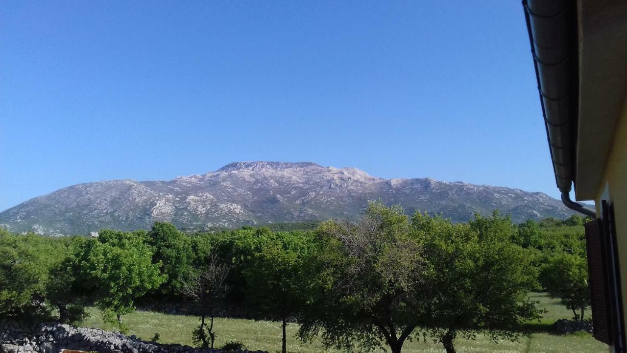 Kuca Za Odmor Dolovi Otel Golubic  Dış mekan fotoğraf